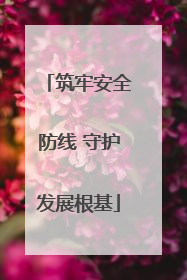 筑牢安全防线 守护发展根基