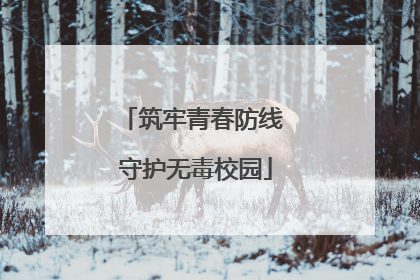 筑牢青春防线 守护无毒校园