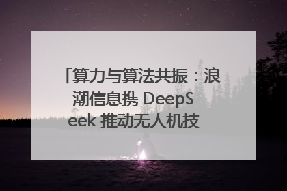 算力与算法共振：浪潮信息携 DeepSeek 推动无人机技术在舟山落地