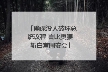 确保没人破坏总统议程 鲁比奥腰斩白宫国安会