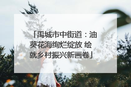 禹城市中街道：油葵花海绚烂绽放 绘就乡村振兴新画卷
