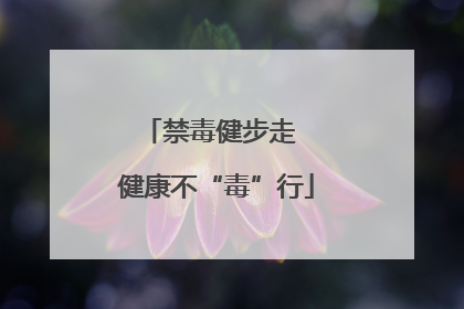 禁毒健步走  健康不“毒”行