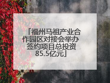 福州马祖产业合作园区对接会举办 签约项目总投资85.5亿元