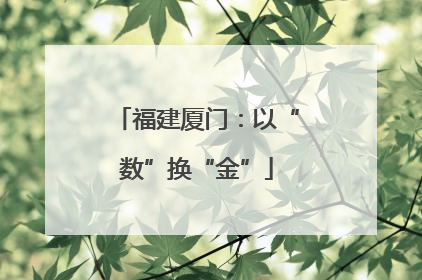福建厦门：以“数”换“金”