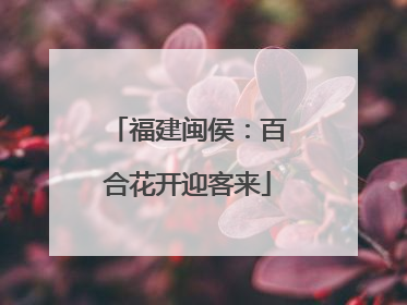 福建闽侯：百合花开迎客来