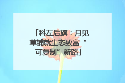 科左后旗：月见草铺就生态致富“可复制”新路