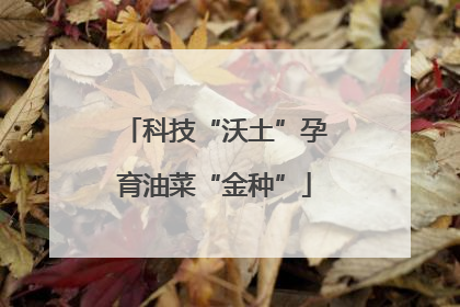 科技“沃土”孕育油菜“金种”