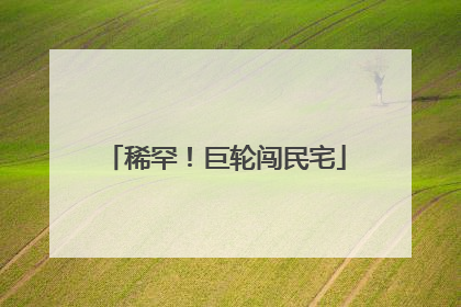 稀罕！巨轮闯民宅