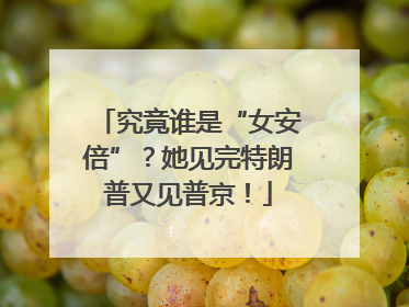 究竟谁是“女安倍”？她见完特朗普又见普京！