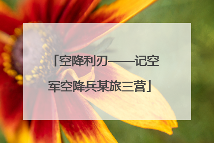 空降利刃——记空军空降兵某旅三营