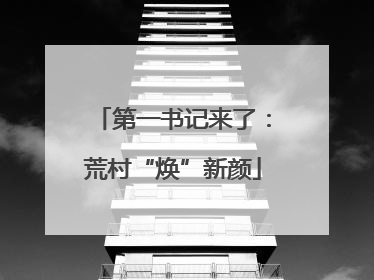 第一书记来了：荒村“焕”新颜
