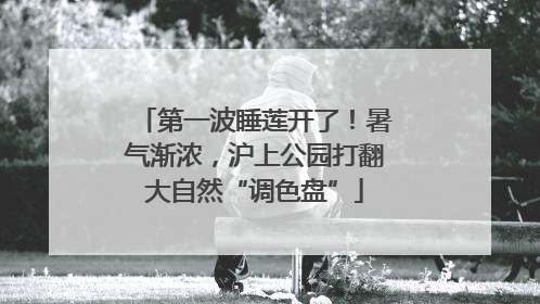 第一波睡莲开了！暑气渐浓，沪上公园打翻大自然“调色盘”