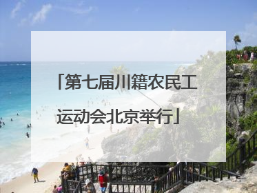 第七届川籍农民工运动会北京举行