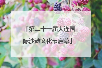 第二十一届大连国际沙滩文化节启幕