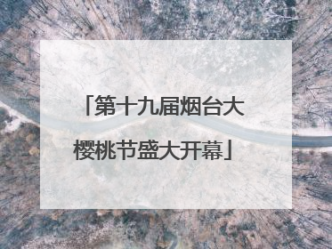 第十九届烟台大樱桃节盛大开幕