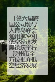 第六届跨国公司领导人青岛峰会通用航空和低空经济发展论坛举行 滨州市全方位推介低空经济发展优势