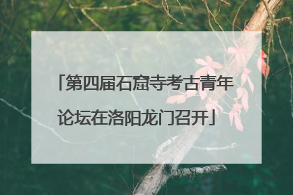 第四届石窟寺考古青年论坛在洛阳龙门召开