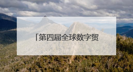 第四届全球数字贸易博览会来沪推介，将有哪些新亮点？