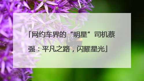 网约车界的“明星”司机蔡强：平凡之路，闪耀星光