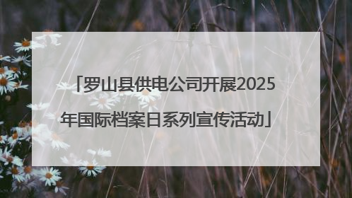 罗山县供电公司开展2025年国际档案日系列宣传活动