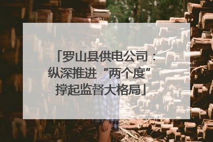 罗山县供电公司：纵深推进“两个度” 撑起监督大格局