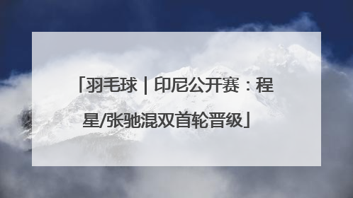 羽毛球｜印尼公开赛：程星/张驰混双首轮晋级