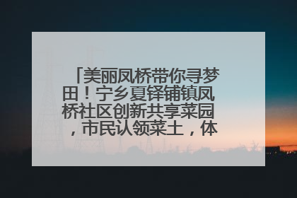 美丽凤桥带你寻梦田！宁乡夏铎铺镇凤桥社区创新共享菜园，市民认领菜土，体验耕种收获乐趣