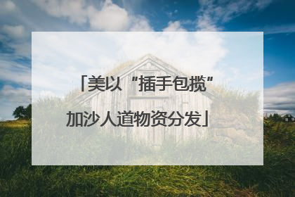 美以“插手包揽”加沙人道物资分发