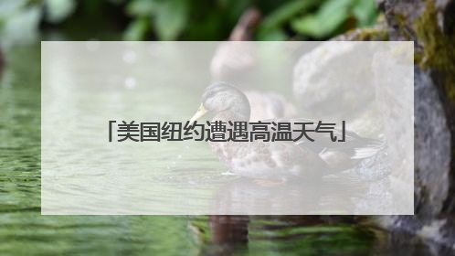 美国纽约遭遇高温天气