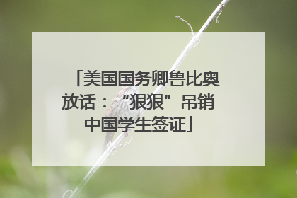 美国国务卿鲁比奥放话：“狠狠”吊销中国学生签证