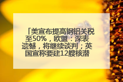 美宣布提高钢铝关税至50%，欧盟：深表遗憾，将继续谈判；英国宣称要建12艘核潜艇；马斯克最新发声：不想为美政府所做的一切承担责任丨早报