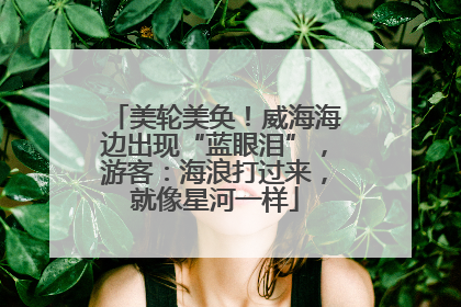 美轮美奂！威海海边出现“蓝眼泪”，游客：海浪打过来，就像星河一样