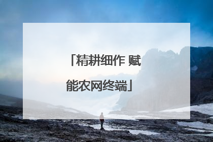 精耕细作 赋能农网终端