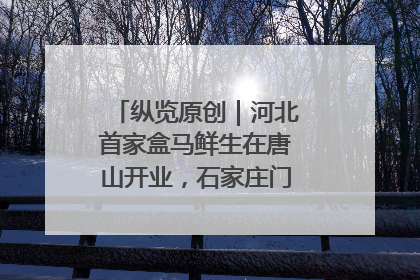 纵览原创｜河北首家盒马鲜生在唐山开业，石家庄门店预计8月开业