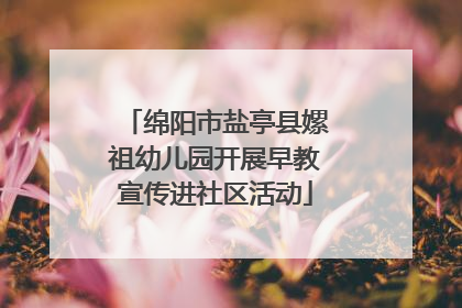 绵阳市盐亭县嫘祖幼儿园开展早教宣传进社区活动