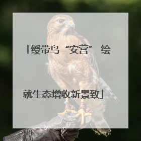 绶带鸟“安营” 绘就生态增收新景致