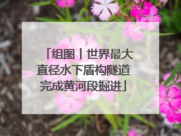 组图丨世界最大直径水下盾构隧道完成黄河段掘进