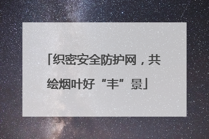 织密安全防护网，共绘烟叶好“丰”景