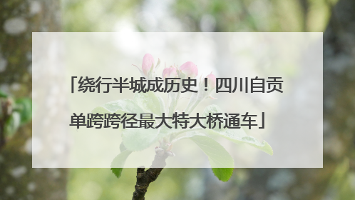 绕行半城成历史！四川自贡单跨跨径最大特大桥通车