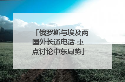 俄罗斯与埃及两国外长通电话 重点讨论中东局势