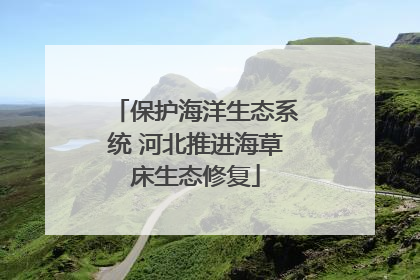 保护海洋生态系统 河北推进海草床生态修复