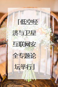 低空经济与卫星互联网安全专题论坛举行