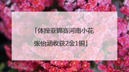 体操亚锦赛河南小花张怡涵收获2金1铜