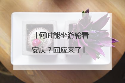 何时能坐游轮看安庆？回应来了