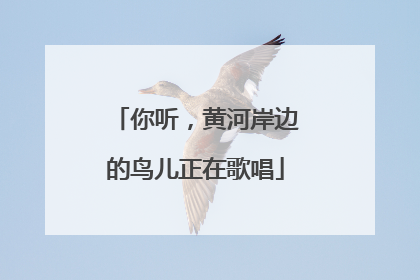 你听，黄河岸边的鸟儿正在歌唱