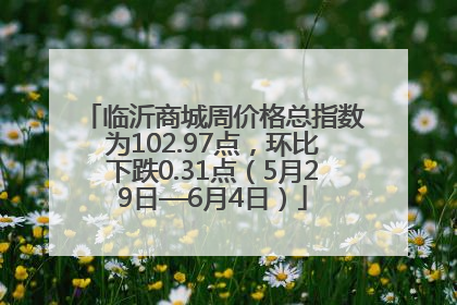 临沂商城周价格总指数为102.97点，环比下跌0.31点（5月29日—6月4日）