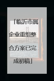 临沂市属企业重组整合方案已完成初稿