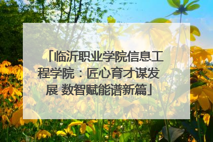 临沂职业学院信息工程学院：匠心育才谋发展 数智赋能谱新篇