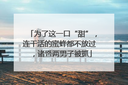 为了这一口“甜”，连干活的蜜蜂都不放过，诸暨两男子被抓
