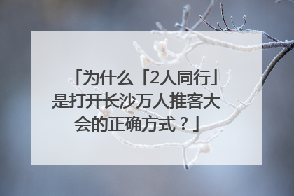为什么「2人同行」是打开长沙万人推客大会的正确方式？